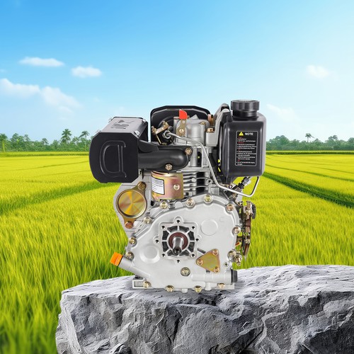 Motore diesel tempi 247cc - 4,